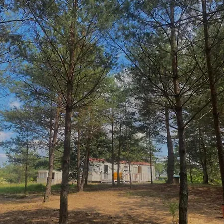 Holenderki Na Zielonych Wzgorzach, Lowyn Exterior photo