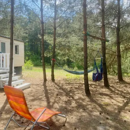 Holenderki Na Zielonych Wzgorzach, Lowyn Exterior photo