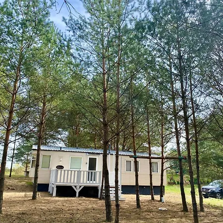 Holenderki Na Zielonych Wzgorzach, Lowyn Exterior photo