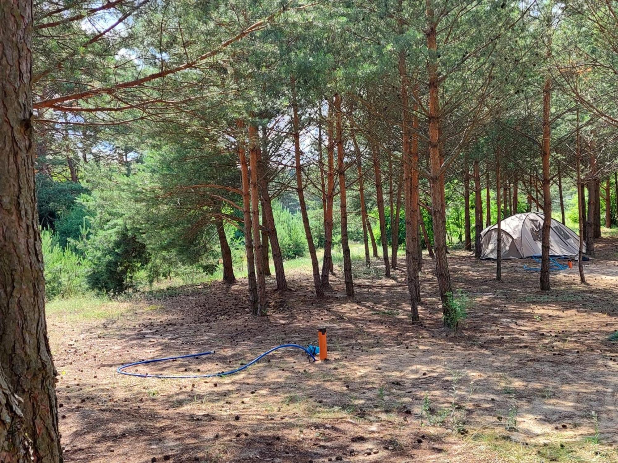 Holenderki Na Zielonych Wzgorzach, Holiday home *